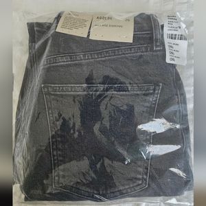 Agolde High Rise Stovepipe Jean